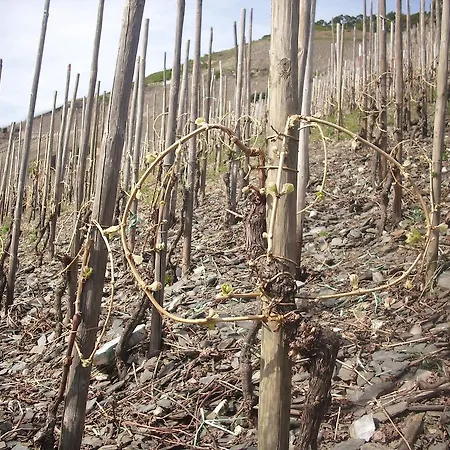 Ubytování v soukromí Kappes-koppelkamm