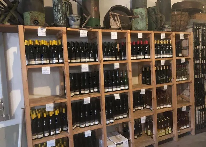 Kappes-koppelkamm Ubytování v soukromí Zeltingen-Rachtig