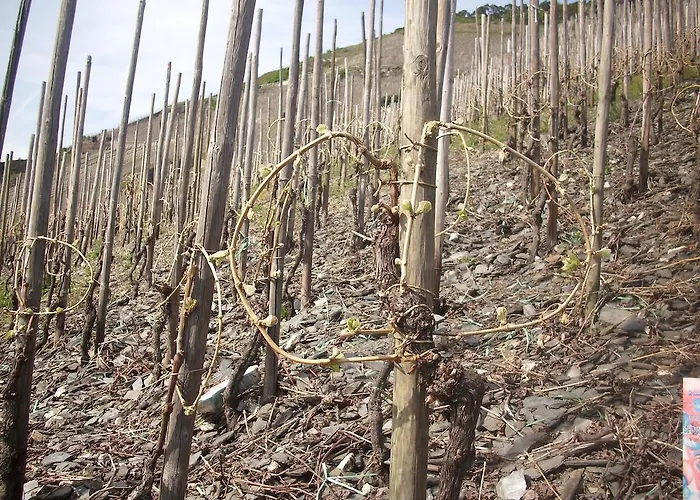 בית אירוח Kappes-koppelkamm