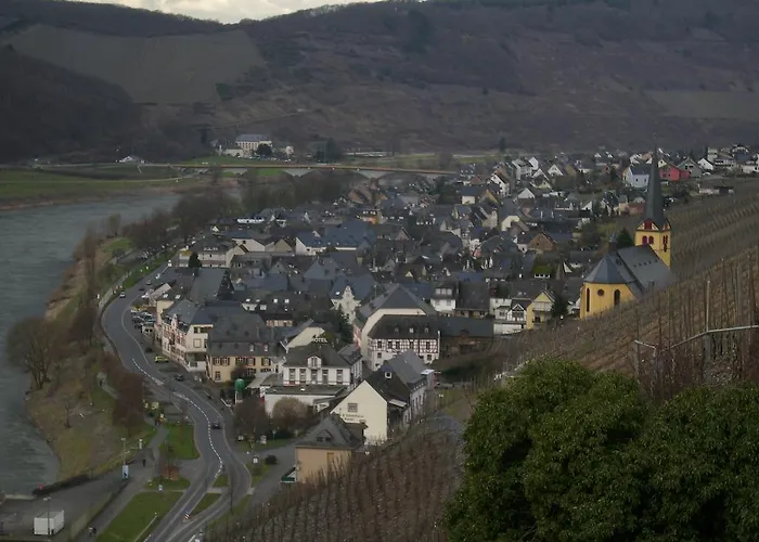 Kappes-koppelkamm Zeltingen-Rachtig