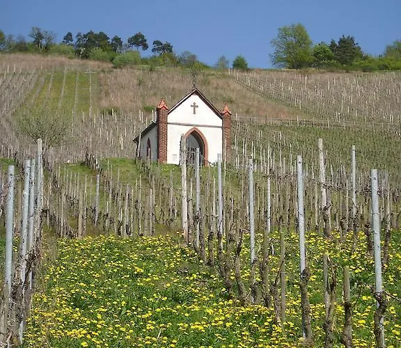 Ubytování v soukromí Kappes-koppelkamm